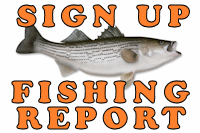 Ocean City Maryland, Delaware Beaches Fishing Report