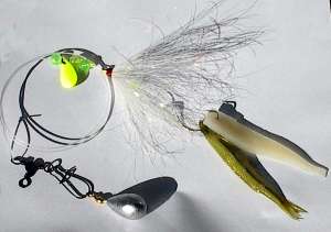 12 assorted Flounder Rigs-