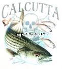 Calcutta CAL37- Striper Design Calcutta CAL37- Striper Design