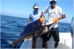 Offshore Fishing Photos  Click To Enter