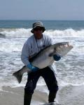 Surf Fishing Photos Click To Enter