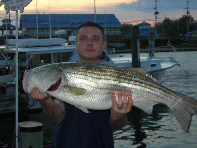 Fishing Bay and Ocean - Ocean City MD - Coastal Delaware - Oyster Bay Tackle