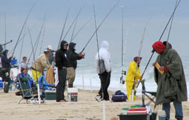 Surf Fishing Ocean City MD