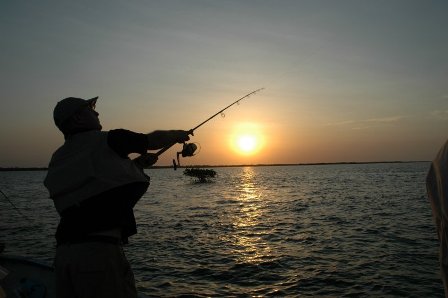Fishing in Ocean City MD