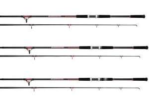 Daiwa Rods