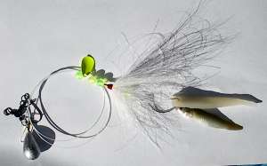 Rigs and Swivels
